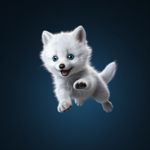 Startupe WhiteFox